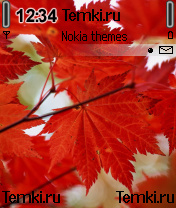Красные листья для Nokia 6670