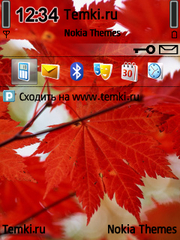 Красные листья для Nokia X5-01