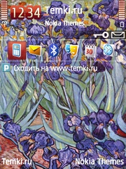 Натюрморт с ирисами для Nokia N93