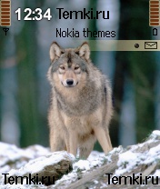 Волк для Samsung SGH-D720