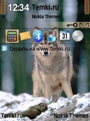 Волк для Nokia C5-01