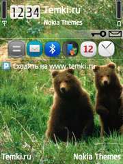 Медвежата для Nokia 6124 Classic