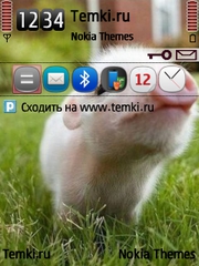 Свинюшка для Nokia E73 Mode