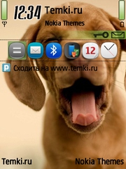 Собака для Nokia 6220 classic