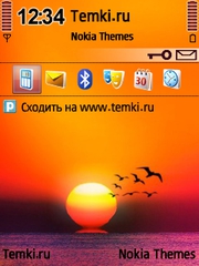 Полет на закате для Nokia 6730 classic