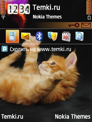 Котенок для Nokia 6760 Slide
