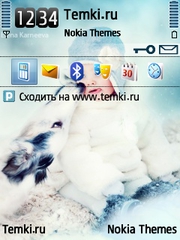 Зимнее чудо для Nokia E66