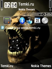 Череп для Nokia 6124 Classic