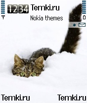 Кот в снегу для Nokia 7610