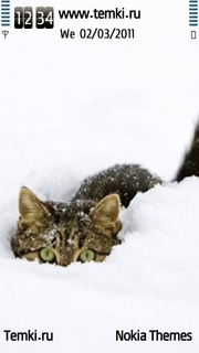Кот в снегу для Nokia N97 mini