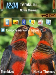 Попугаи для Nokia 6124 Classic