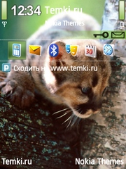 Котенок на дереве для Nokia 6700 Slide