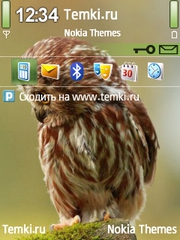 Сова в раздумьях для Nokia N78
