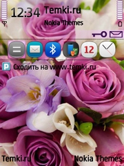 Красота И Розы для Nokia X5-01