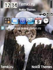 Кот в засаде для Nokia 6790 Slide