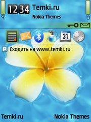 Цветок В Воде для Nokia X5 TD-SCDMA