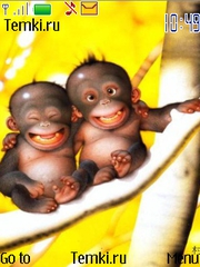 Радостные обезьяны для Nokia Asha 306