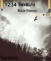 Свобода для Nokia 6620