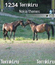 Лошади для Nokia N72