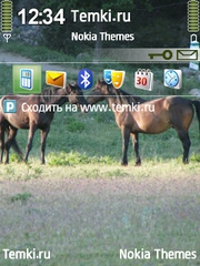 Лошади для Nokia E65