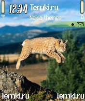 Кошка  в прыжке для Nokia N90