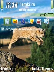 Кошка  в прыжке для Nokia E66