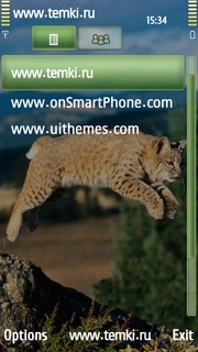 Скриншот №3 для темы Кошка  в прыжке