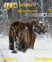 Тигр оглядывается для Nokia 7610
