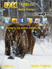 Тигр оглядывается для Nokia E72