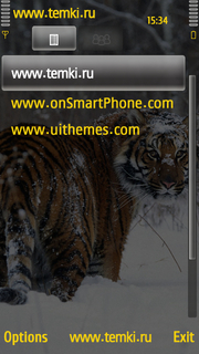Скриншот №3 для темы Тигр оглядывается