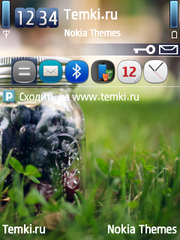 Летние ягоды для Nokia E71
