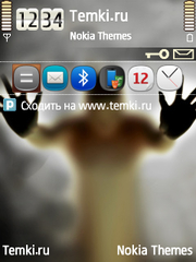 За стеклом для Nokia N73