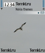 Птица для Nokia 6260