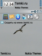 Птица для Nokia 6730 classic