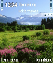 Менденхолл для Nokia N72