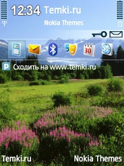 Менденхолл для Nokia N95