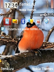 Снегирь на ветке для Nokia N93i