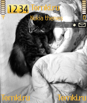 Кошка для Nokia 6680