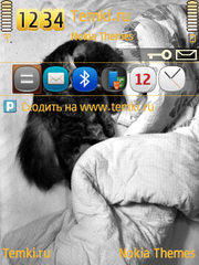 Кошка для Nokia N93i