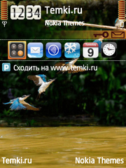 Птички для Nokia 6700 Slide
