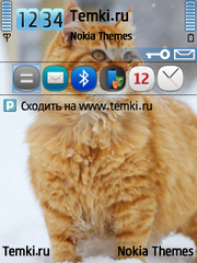 Рыжий Кот Зимой для Nokia 6121 Classic