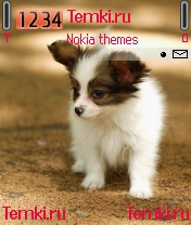 Щеночек для Nokia 6630