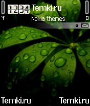 Роса на листьях для Nokia 6670