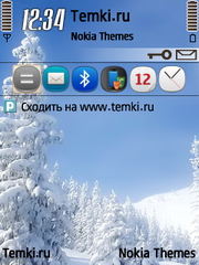 Зима для Nokia 6110 Navigator