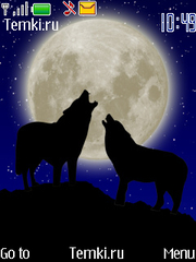 Волчья луна для Nokia 5330 XpressMusic