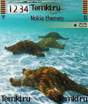 Морские звезды для Nokia 6620