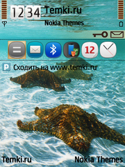 Морские звезды для Nokia 6790 Slide