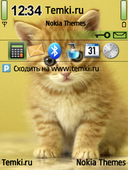 Котенок для Nokia 6730 classic