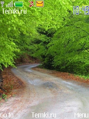 Дорога в лесу для Nokia 6260 slide