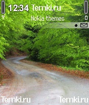 Дорога в лесу для Nokia N72